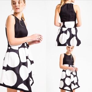 Banana Republic Big Polka Black and White Dress 6